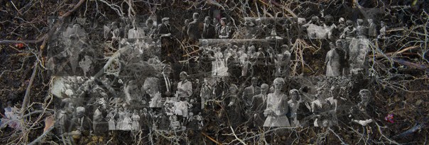 Linn Underhill, Roots, 2015 (Archival Inkjet Print)