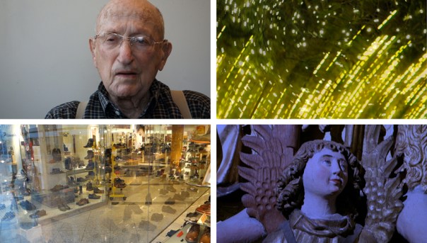 Hofmann_Video_Stillslo-res